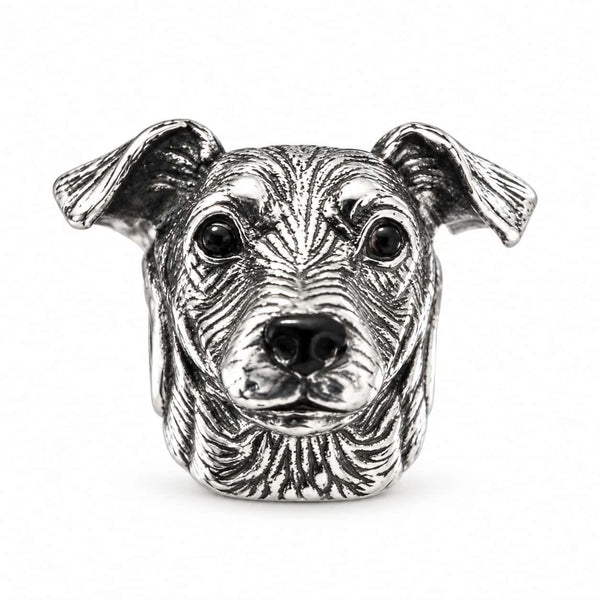 Charm_Terrier_Chileno_1