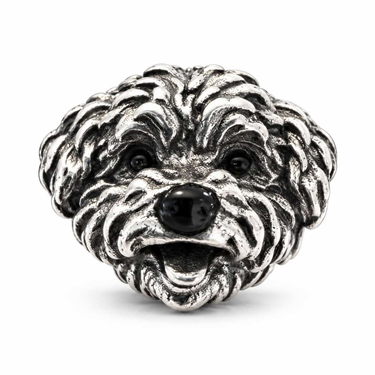 Charm_ Bichon Frise _ Poodle Osito_1