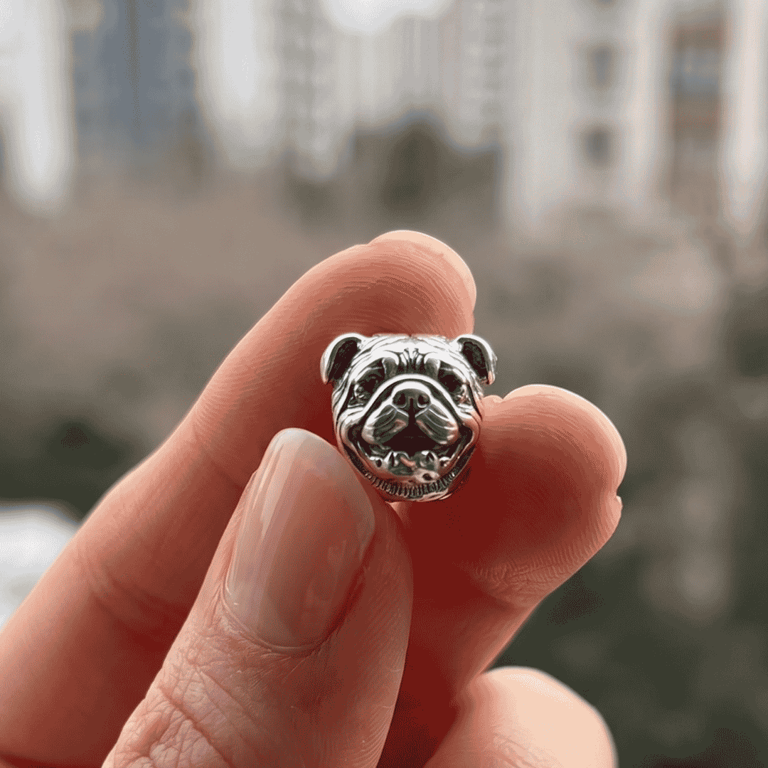 Charm_bulldog_ingles