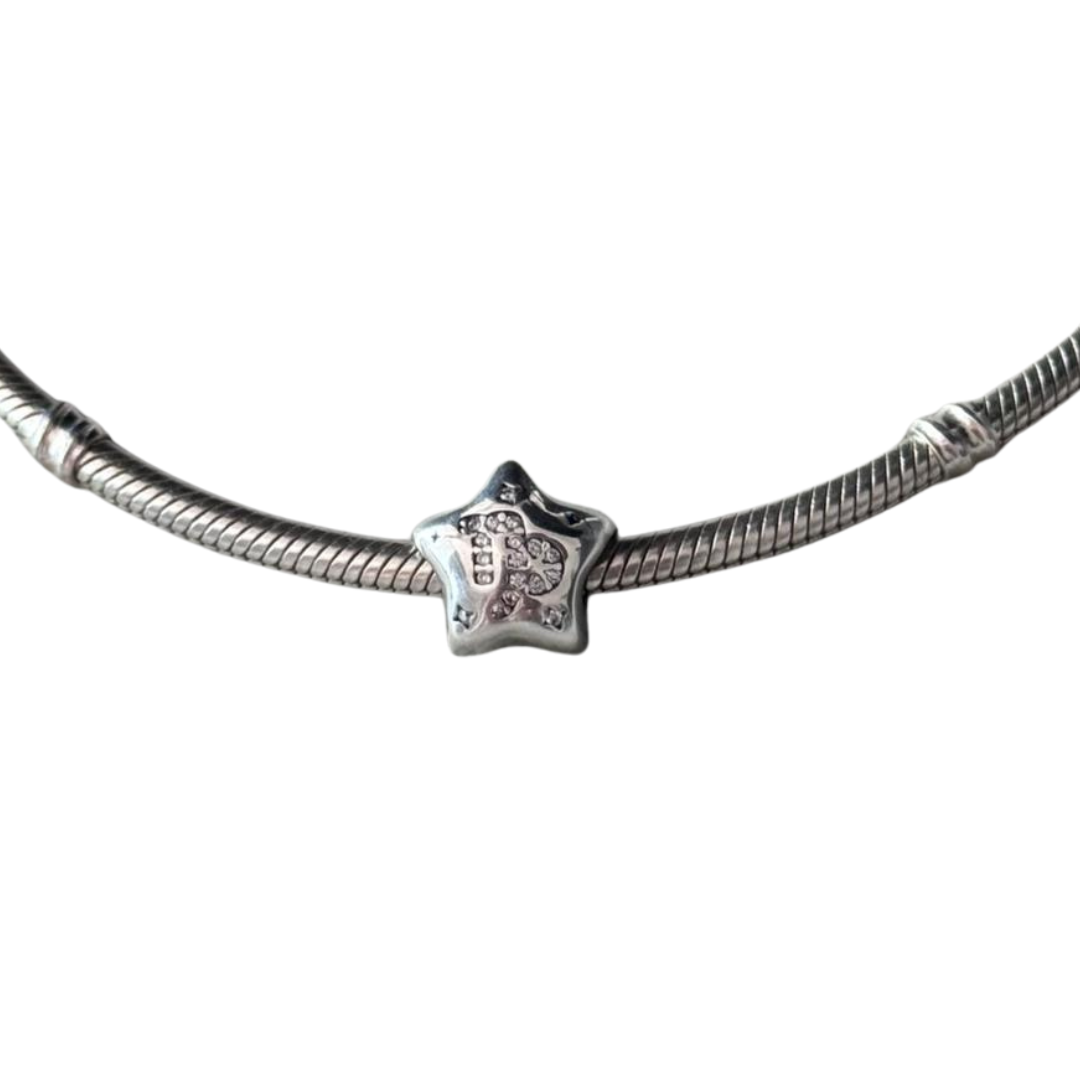 Charm Signo Capricornio