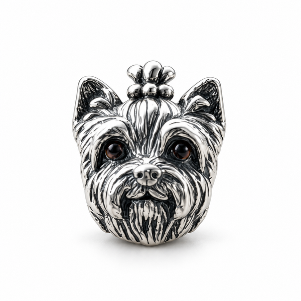Charm_yorkie