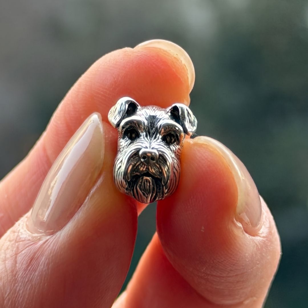 Charm Perro Schnauzer