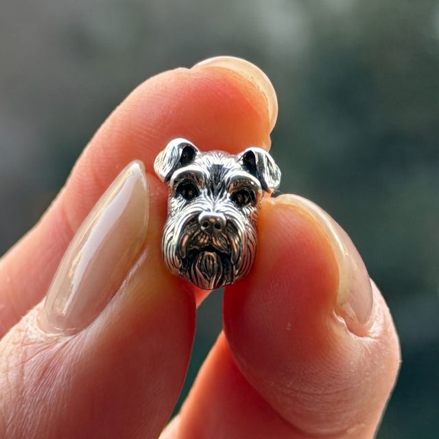 Schnauzer