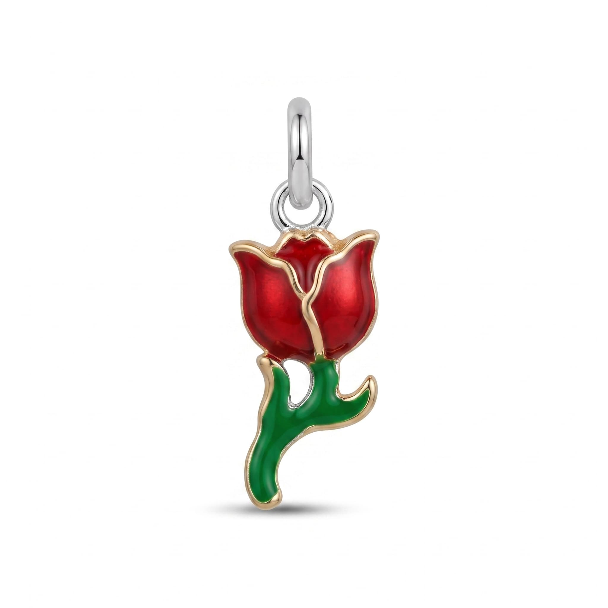 Tulipan Principal