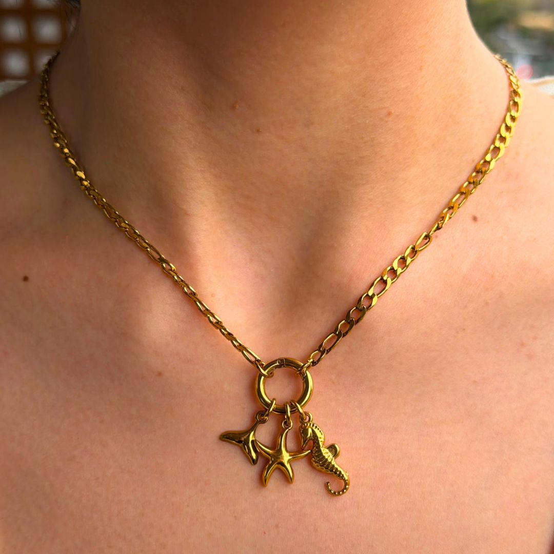Charm Caballito de mar