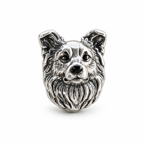 charm_border_collie
