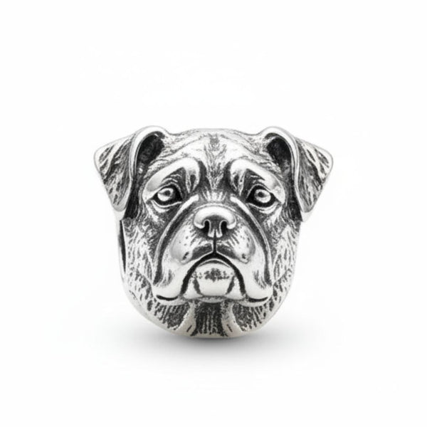 charm_boxer