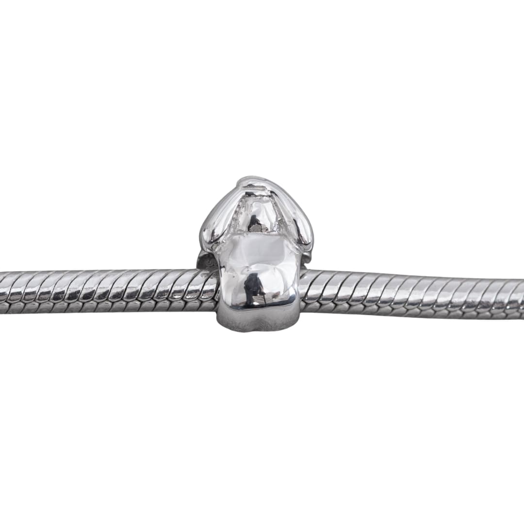 Charm Monito