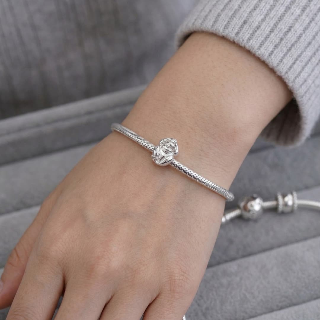 Charm Monito