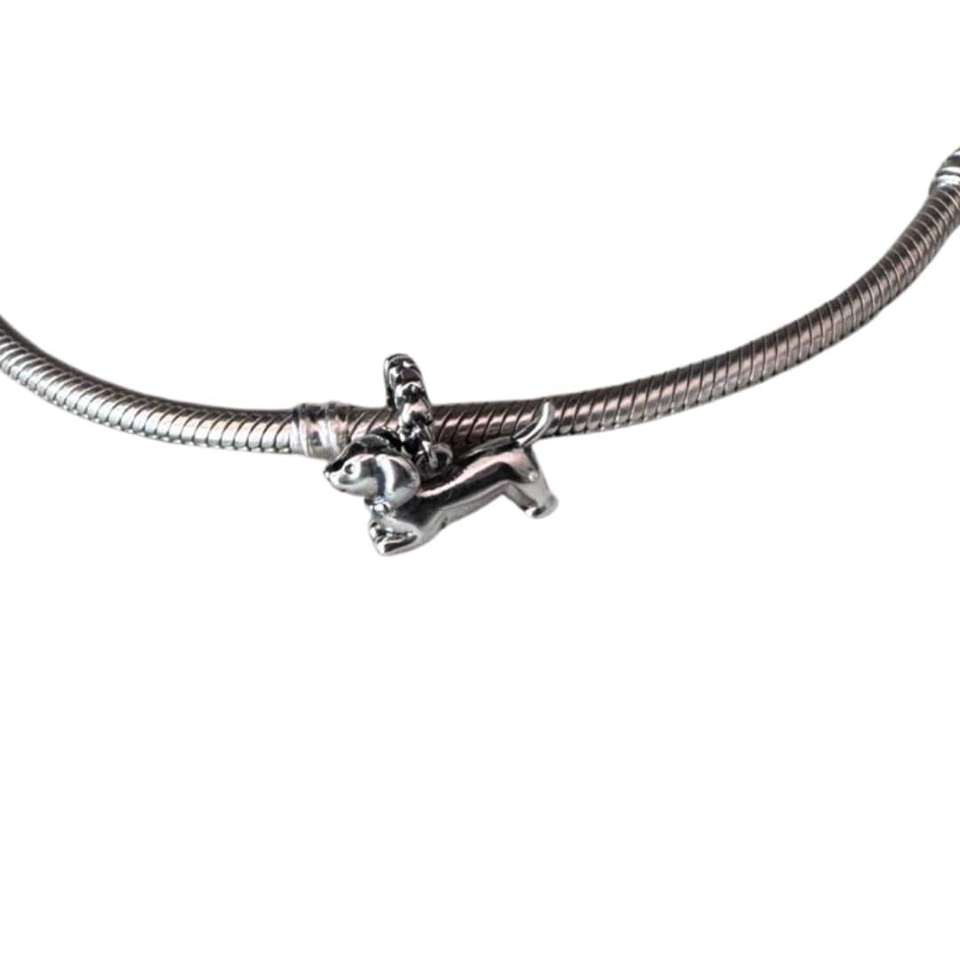 Charm Perro Salchicha