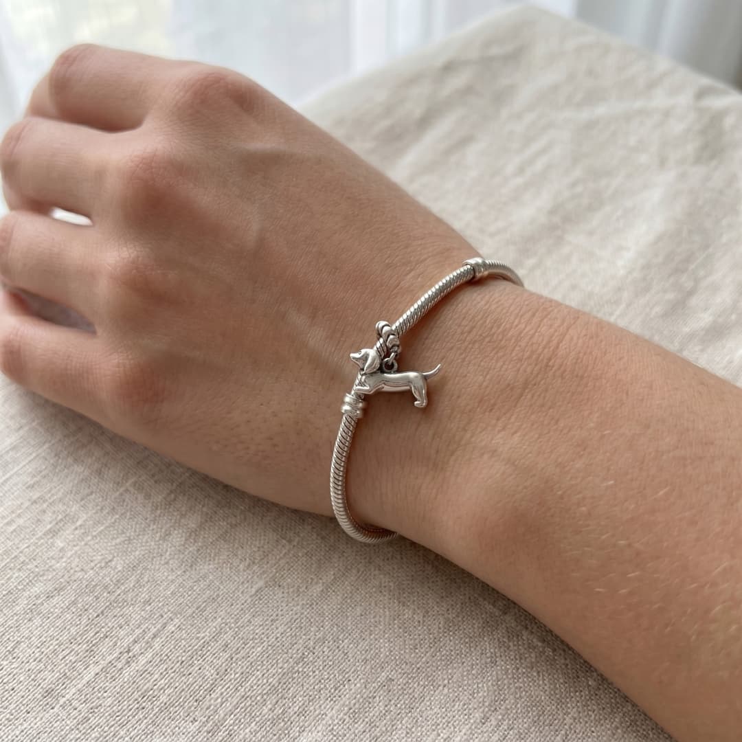 Charm Perro Salchicha