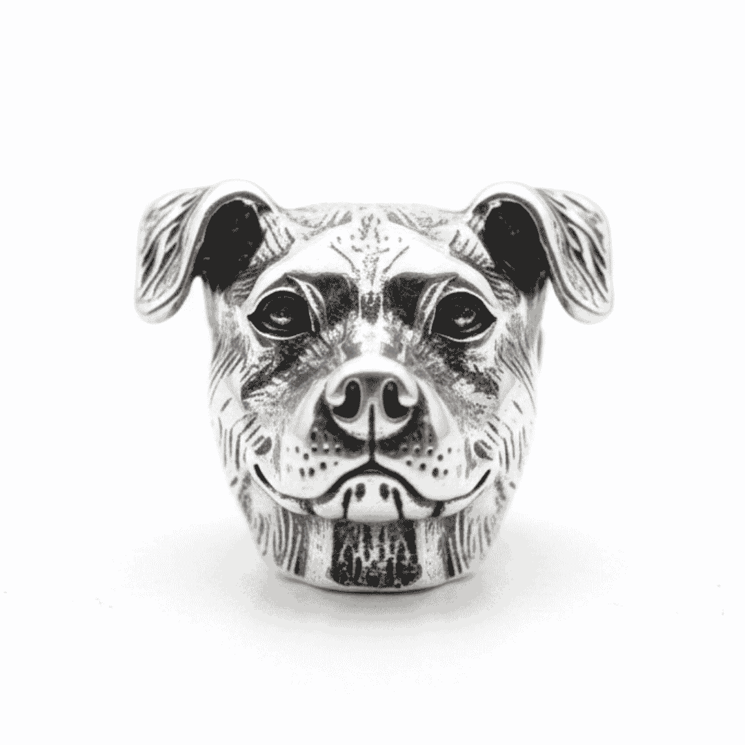 charm_pitbull