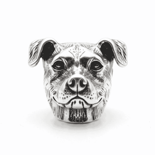 charm_pitbull