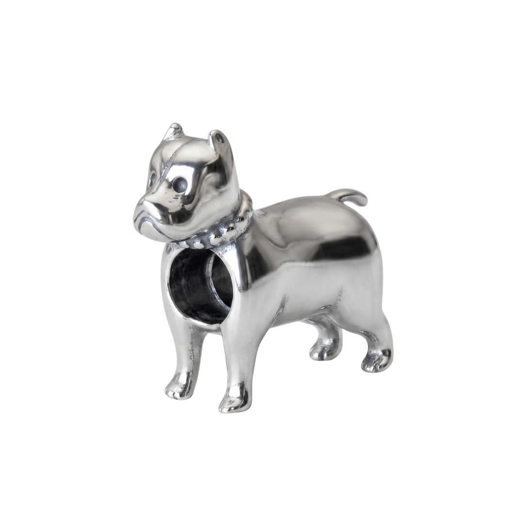Charm Perro Pitbull
