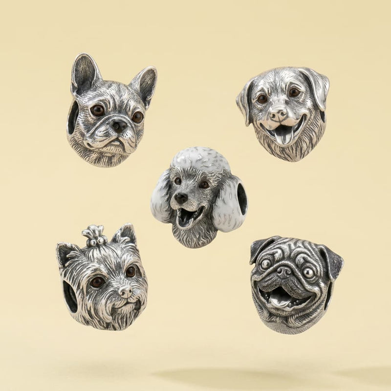 Charms Amigos Incondicionales