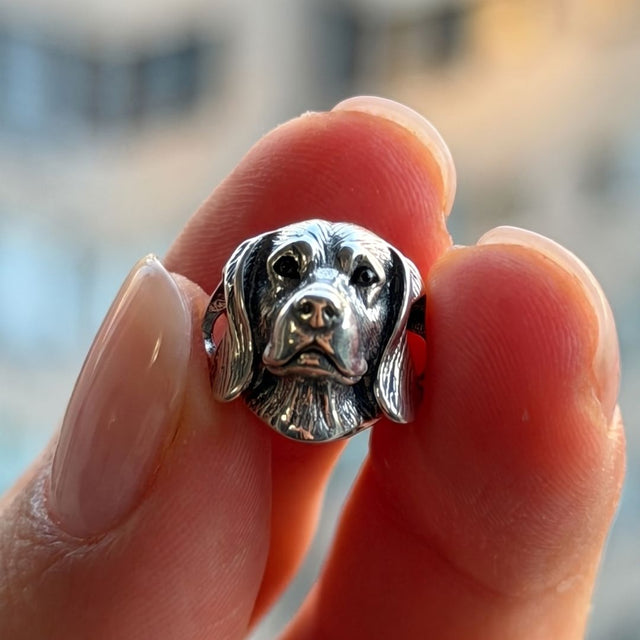 Beagle