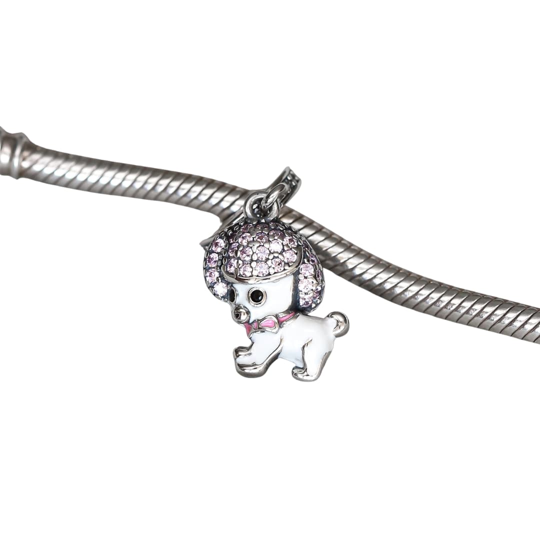 Charm Perro Poodle Brillos