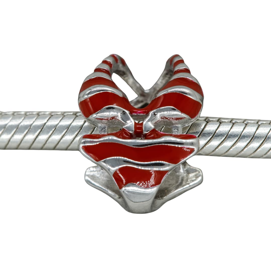 Charm Bikini a Rayas