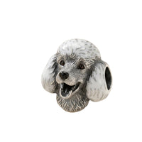 Poodle