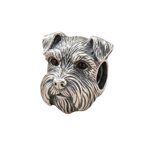 Charm Perro Schnauzer