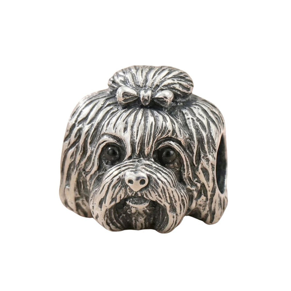 Charm Perro  Shih Tzu