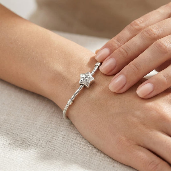 Charm Signo Leo