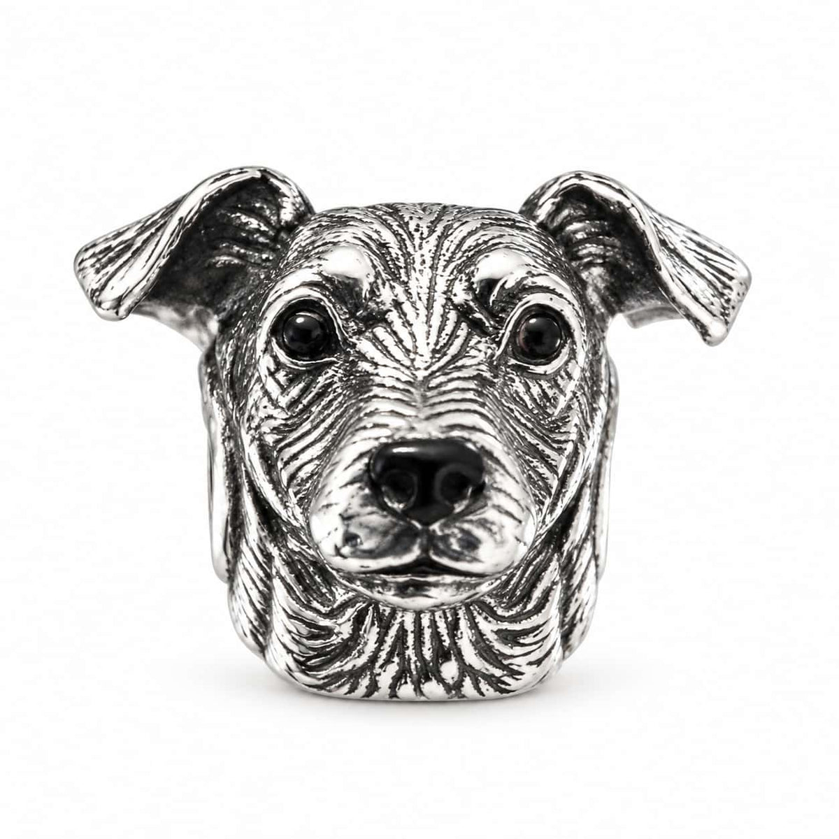 Charm_Terrier_Chileno_1