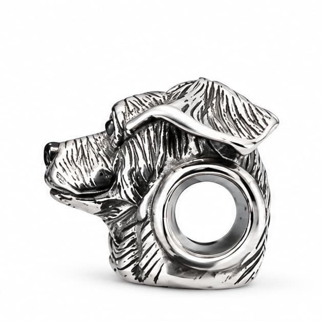 Charm_Terrier_Chileno_2