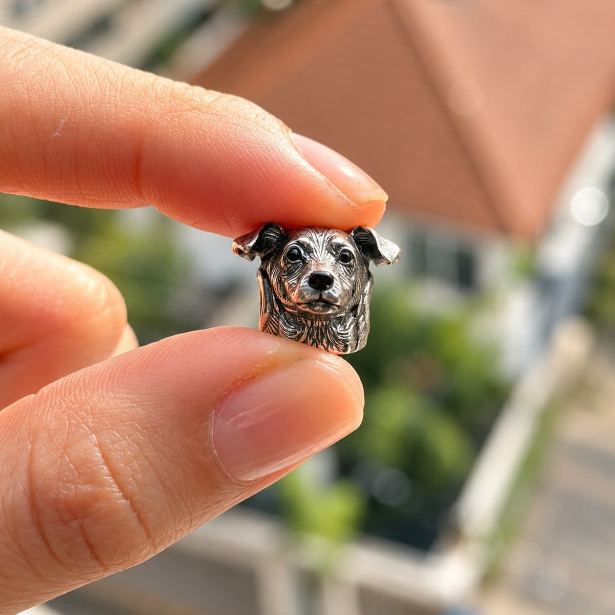 Charm_Terrier_Chileno_3
