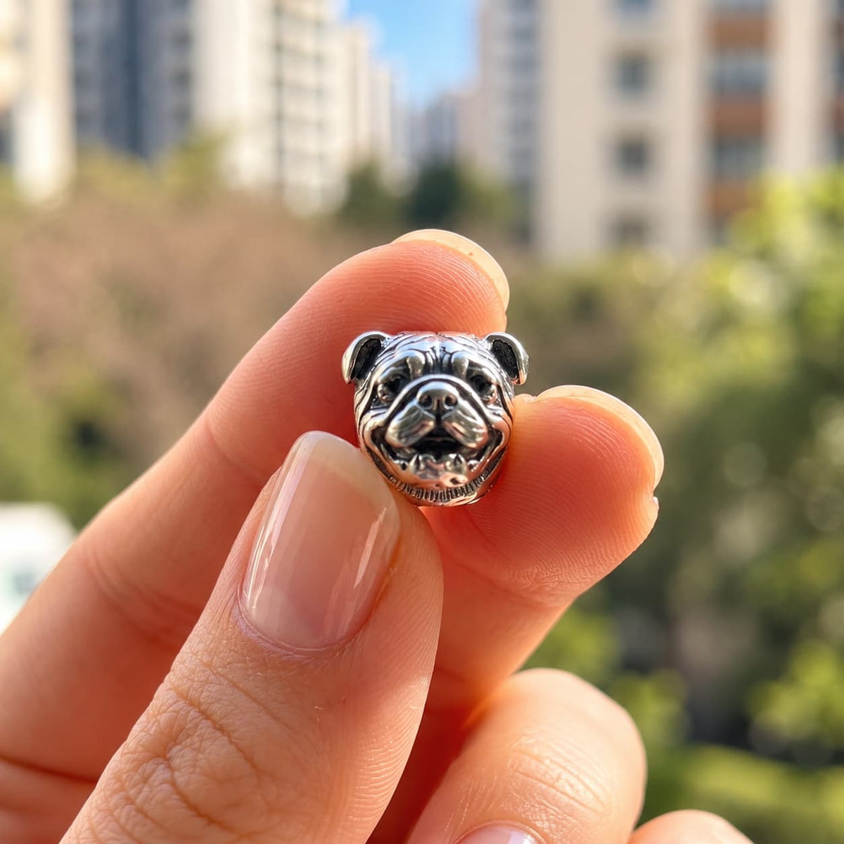 Charm_bulldog_ingles