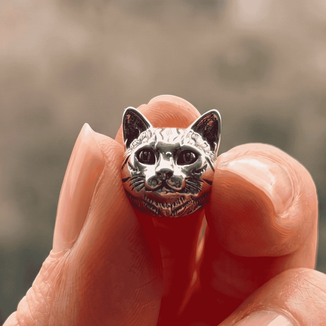 Charm_gato1