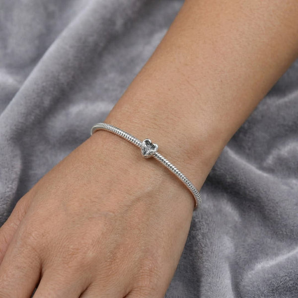 Charm Pareja de Cisnes