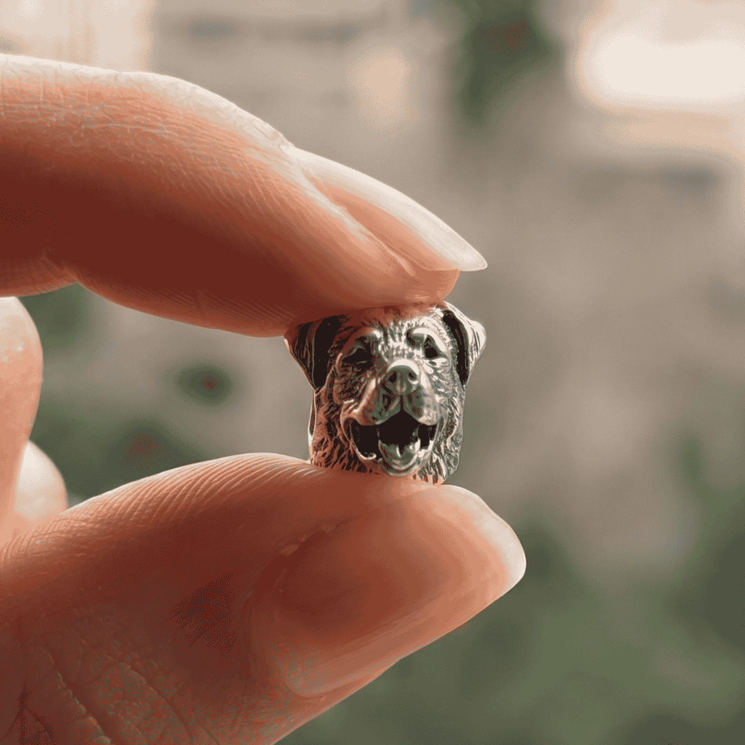 Charm_rottweiler