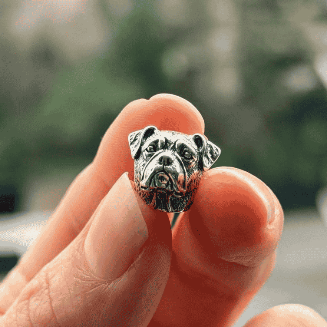Charms_boxer