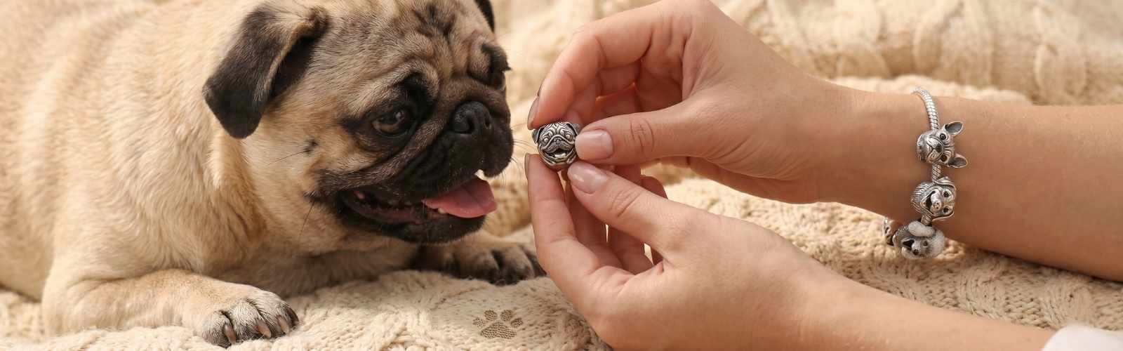 Charms Amigos Incondicionales