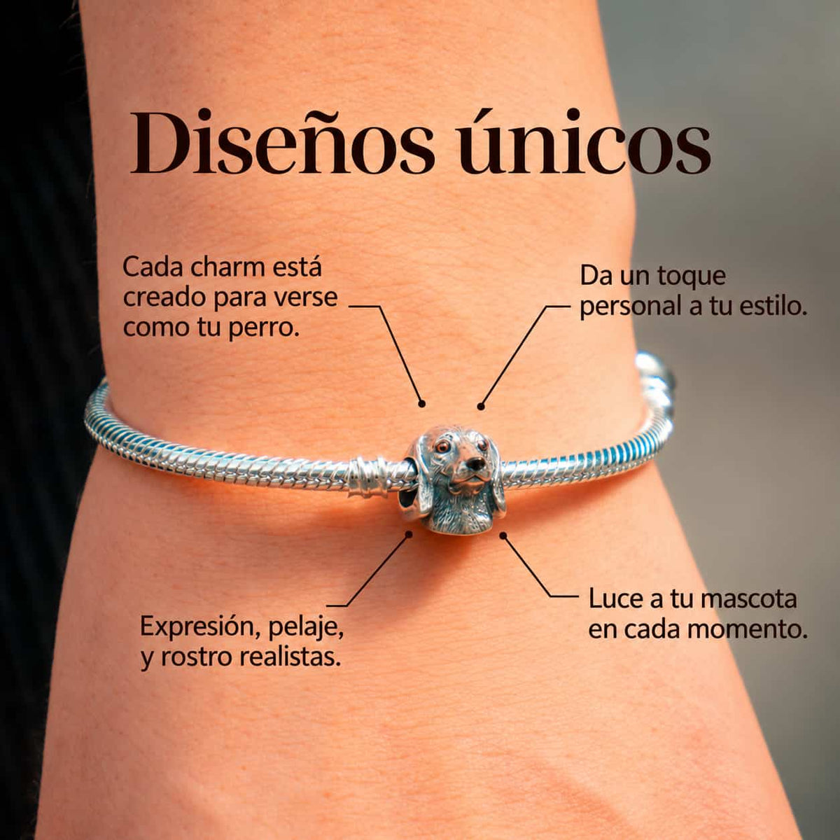 Charms Perros Plata 925 + Pulsera de Regalo