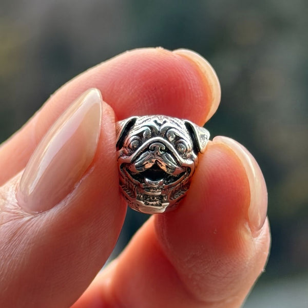 Pug