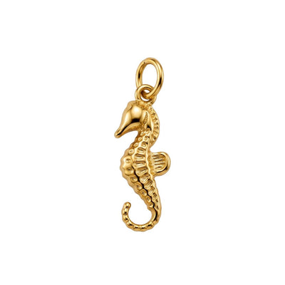 Charm Caballito de mar