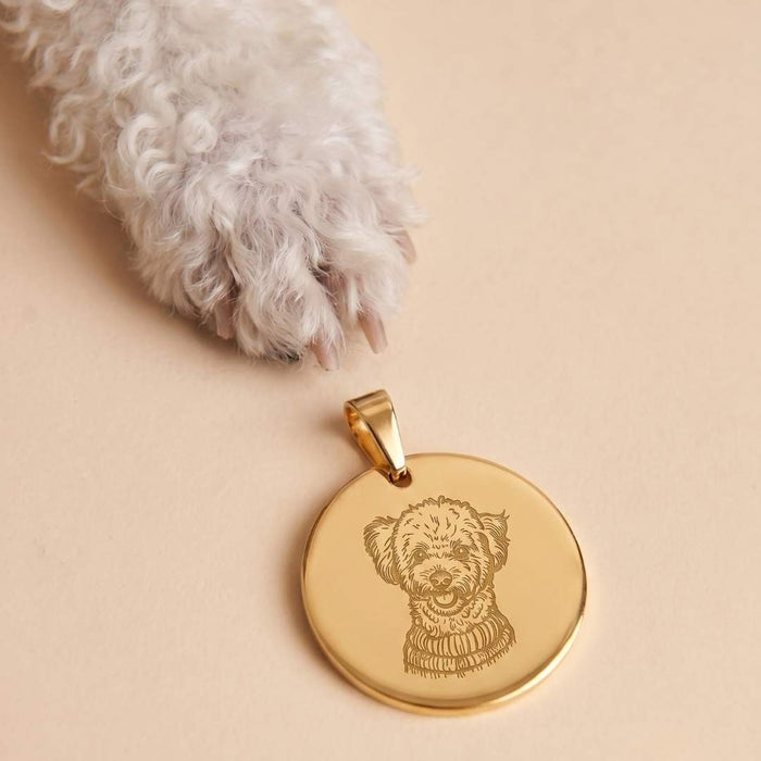 Collares Perritos Personalizados