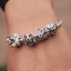 Charms Razas de Perros Plata 925 + Pulsera Regalo