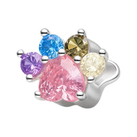 Patita Brillante Colores