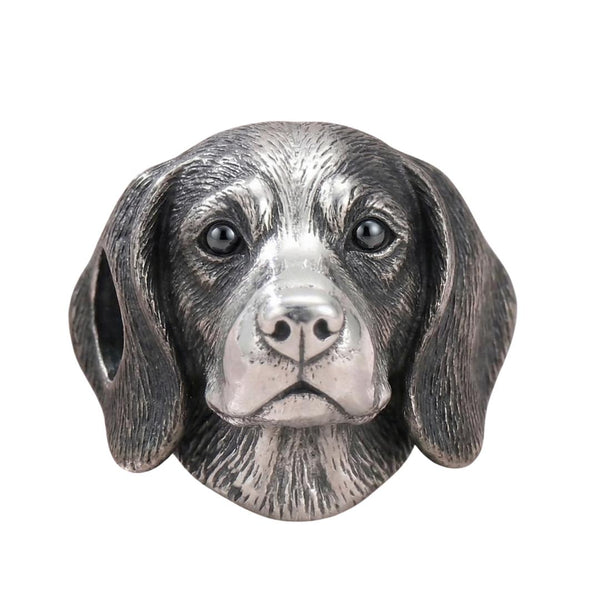 Charm Perro Beagle