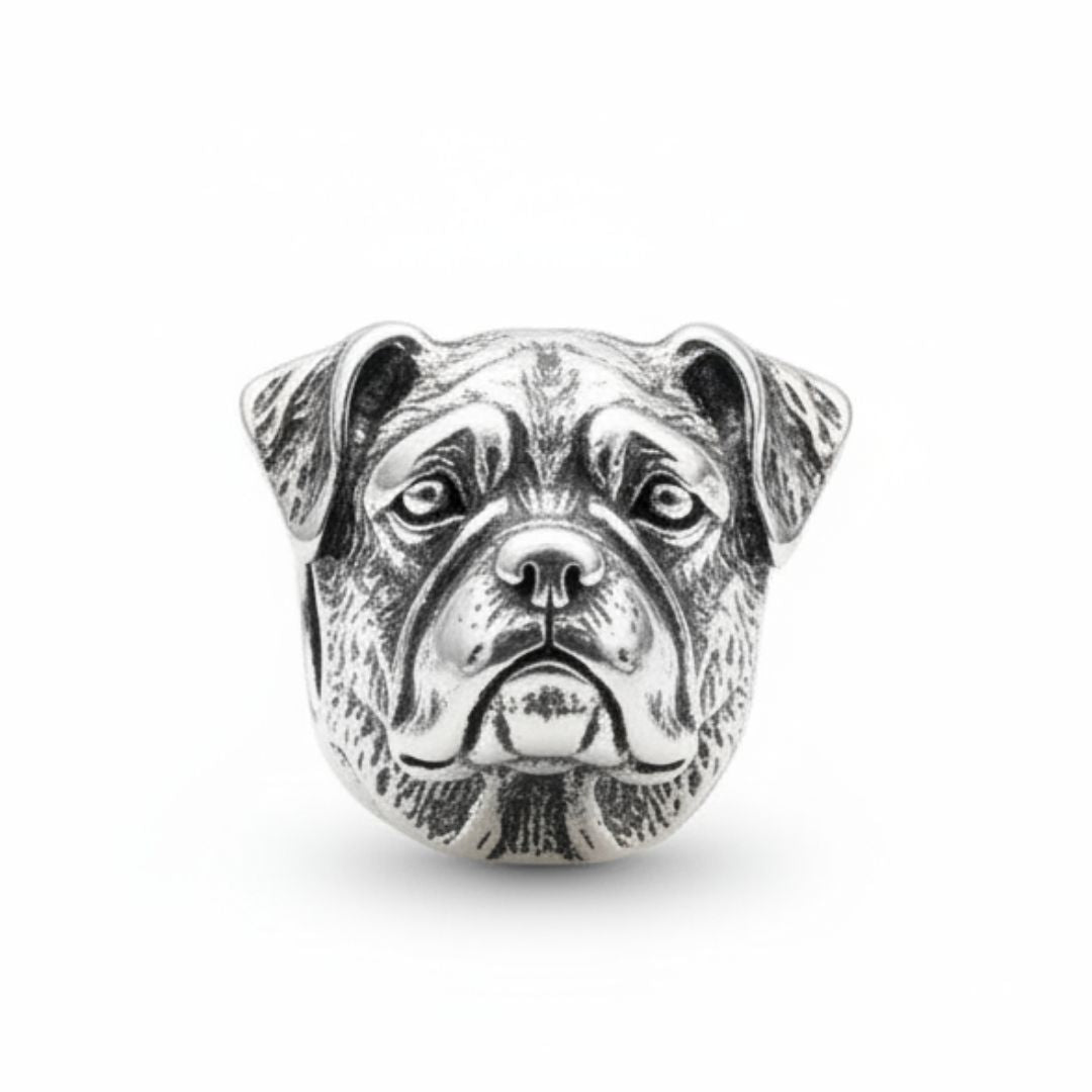 charm_boxer