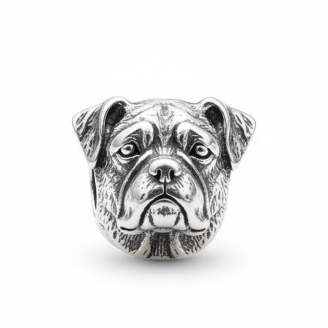 charm_boxer