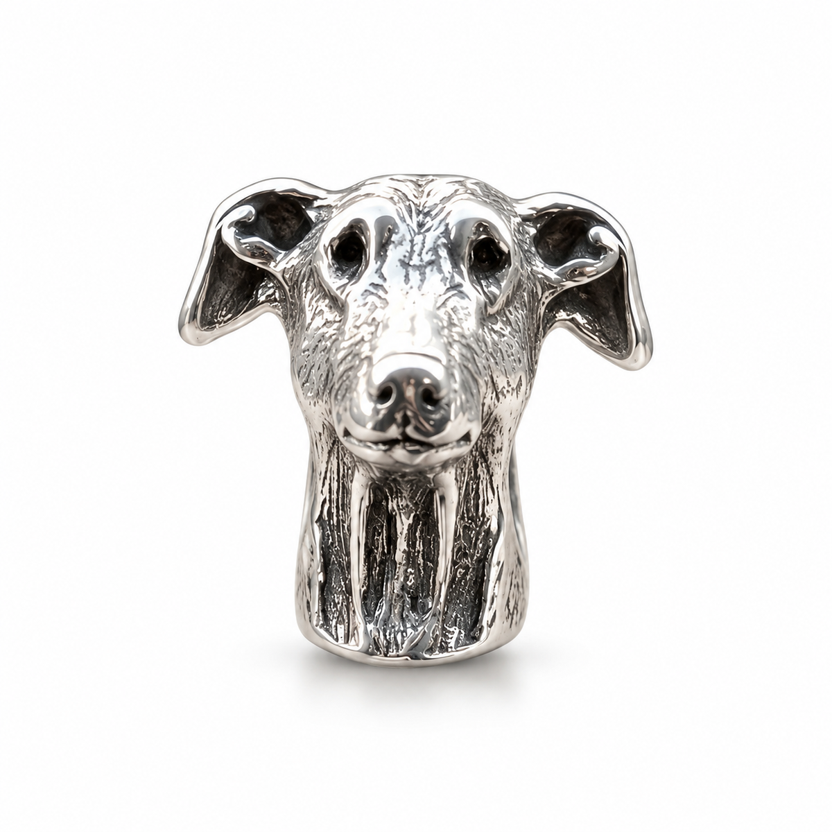 charm_galgo