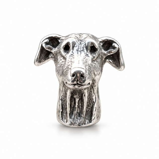 charm_galgo
