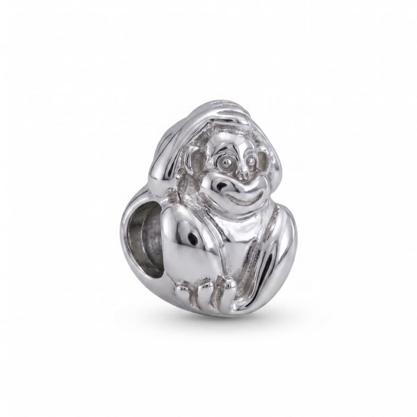 Charm Monito
