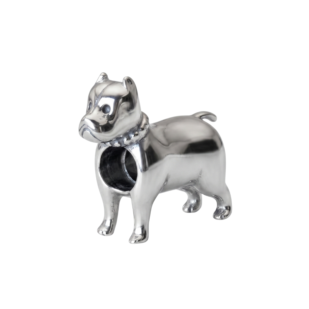 Charm Perro Pitbull
