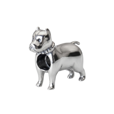 Charm Perro Pitbull