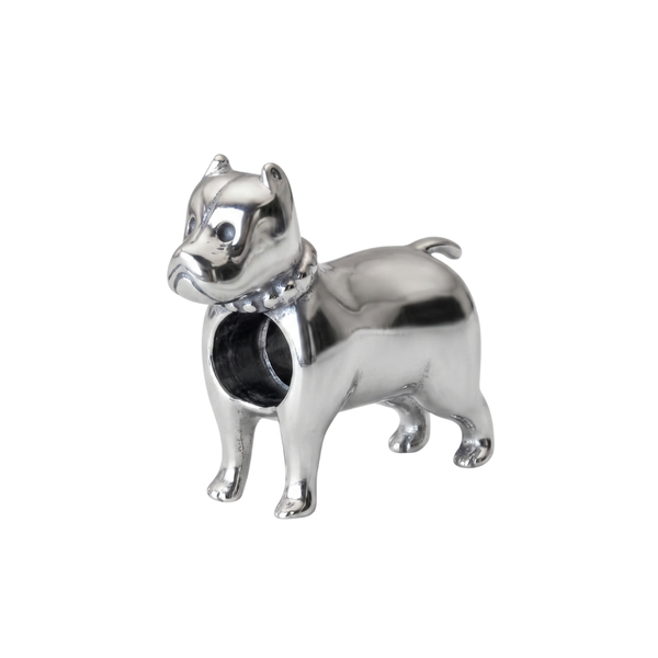 Charm Perro Pitbull